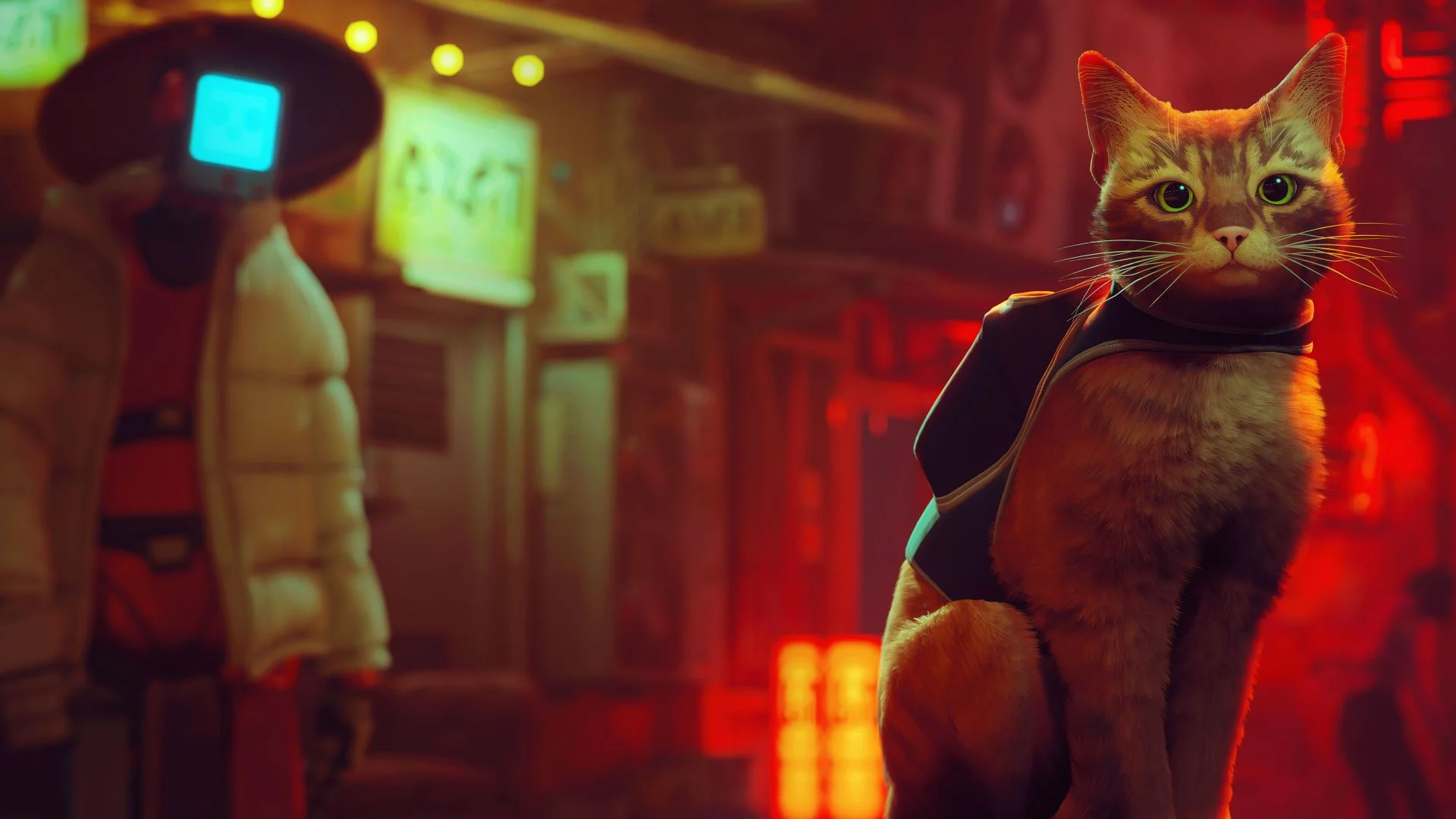 Stray en Steam